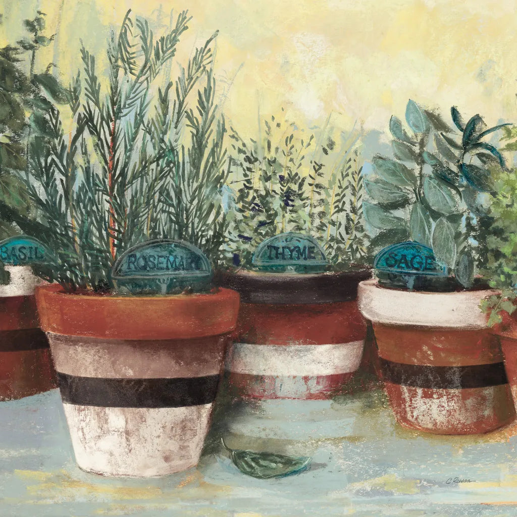 Potted Herbs II Stripes Crop by Carol Rowan. SKU 50559a. Archival Giclee Fine art print for wall decor.