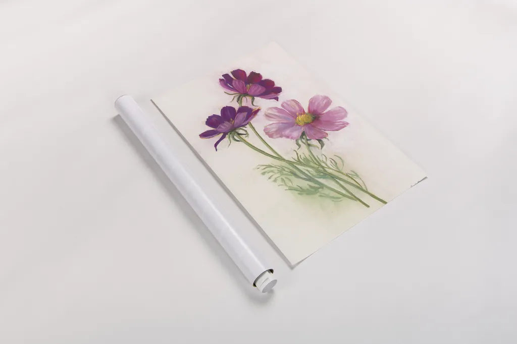 Purple Cosmos by Carol Rowan. shown as a rolled paper print. Available as archival giclee rolled canvas, fine art paper, or poster print. SKU 95139h.
