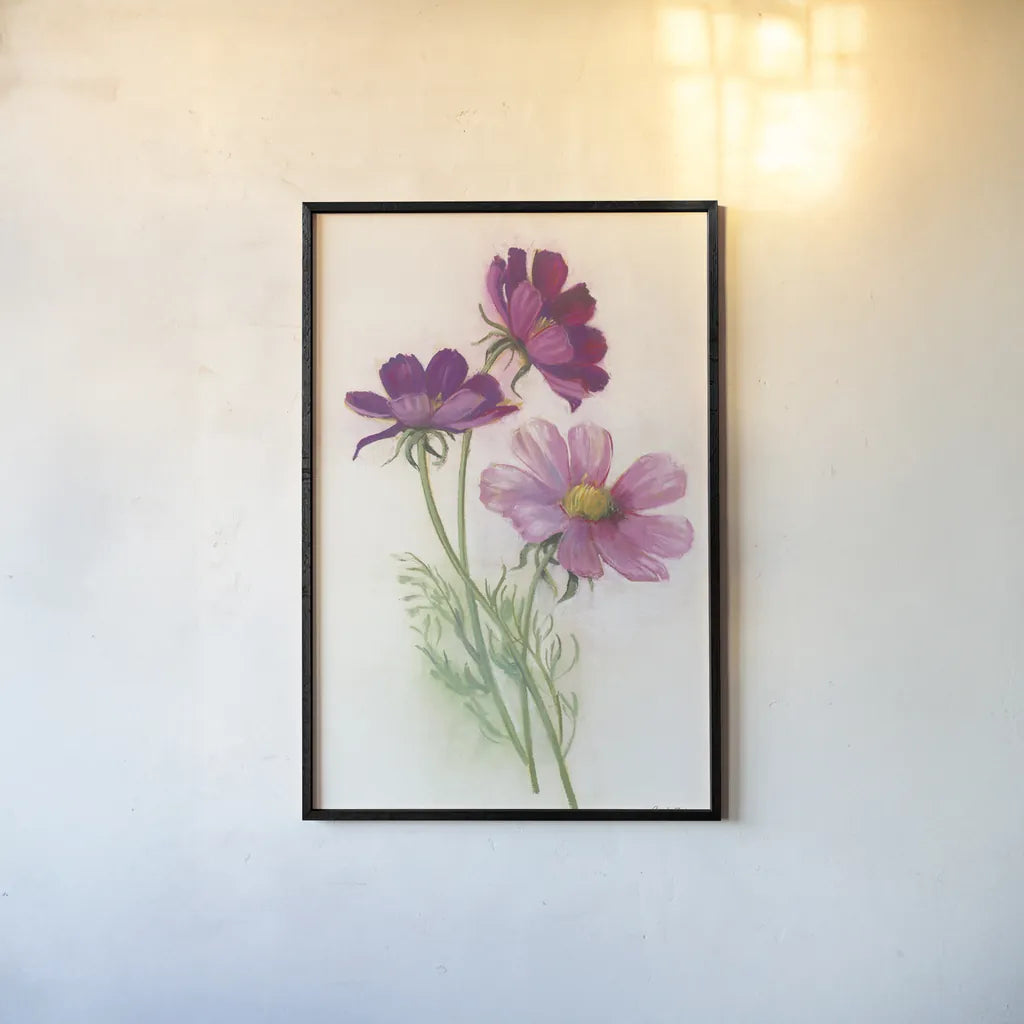 Purple Cosmos by Carol Rowan. shown as a paper print in a black flame. Available as a archival giclee rolled canvas, fine art paper, or poster print. SKU 95139h.