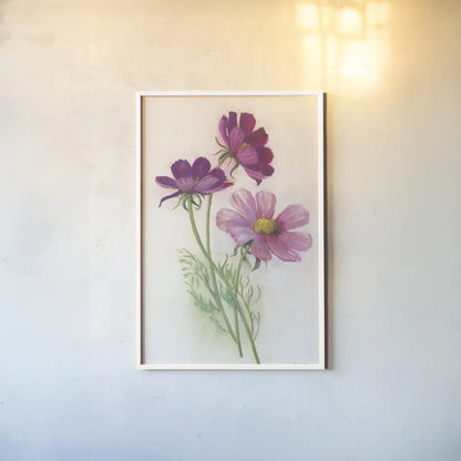 Purple Cosmos by Carol Rowan. shown as a paper print in a white frame. Available as a archival giclee rolled canvas, fine art paper, or poster print. SKU 95139h.