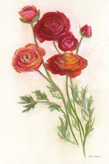 Red Ranunculus by Carol Rowan. SKU 95140h. Archival Giclee Fine art print for wall decor.