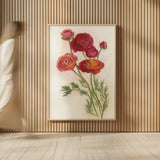 Red Ranunculus by Carol Rowan. shown as over sized large wall art. Available as an archival giclee rolled canvas, fine art paper, or poster print. SKU 95140h.