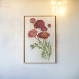Red Ranunculus by Carol Rowan. shown as a paper print in a natural frame. Available as a archival giclee rolled canvas, fine art paper, or poster print. SKU 95140h.