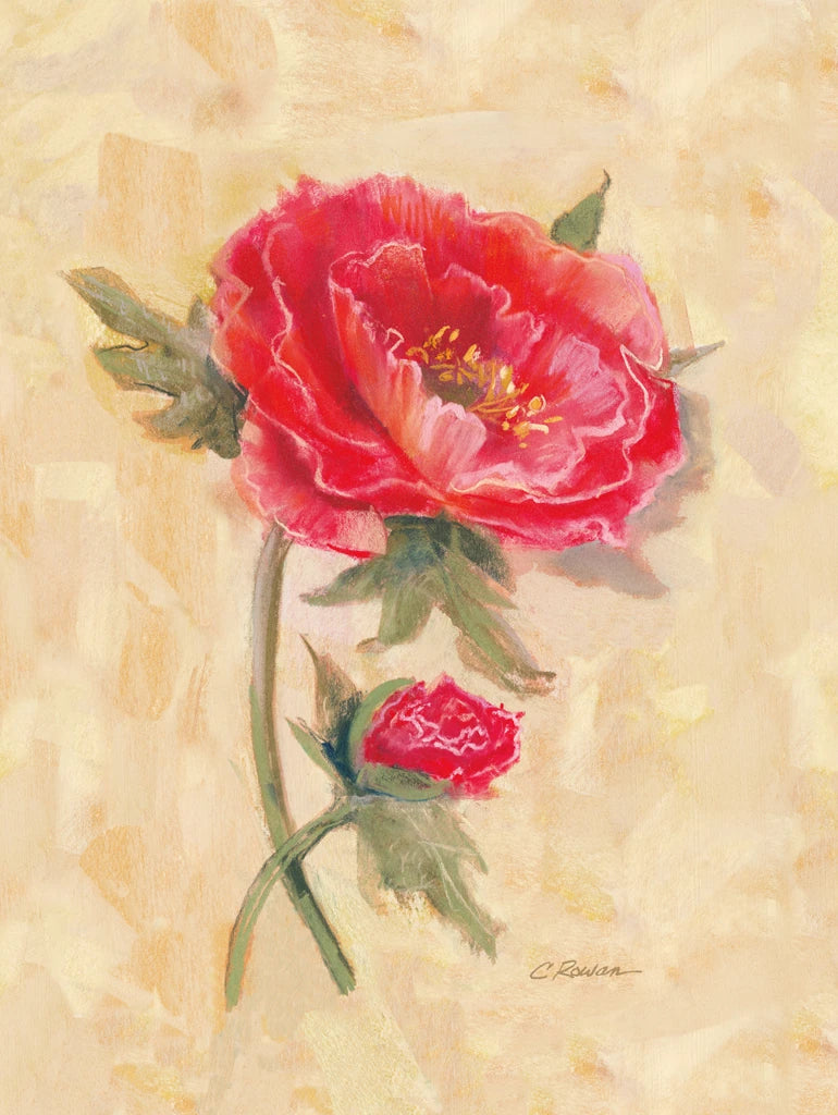 Spicy Poppies by Carol Rowan
