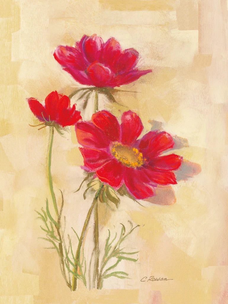 Spicy Red Cosmos by Carol Rowan
