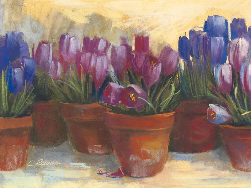 Spring Crocus by Carol Rowan