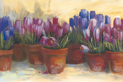 Spring Crocus by Carol Rowan. SKU 9019i. Archival Giclee Fine art print for wall decor.