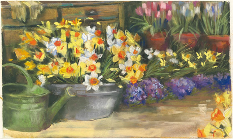 Spring Daffodils by Carol Rowan