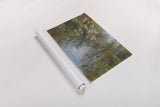Spring Reflection by Carol Rowan. shown as a rolled paper print. Available as archival giclee rolled canvas, fine art paper, or poster print. SKU 30808i.