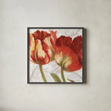 Spring Tulips Red I by Carol Rowan. Shown in a sleek black glass frame for a contemporary gallery look. Available as an archival giclee rolled canvas, fine art paper, or poster print. SKU 42412a.
