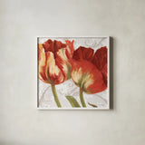Spring Tulips Red I by Carol Rowan. Shown in a crisp white glass frame for a clean and minimalist style. Available as an archival giclee rolled canvas, fine art paper, or poster print. SKU 42412a.