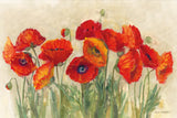 Vibrant Poppies by Carol Rowan. SKU 7999i. Archival Giclee Fine art print for wall decor.