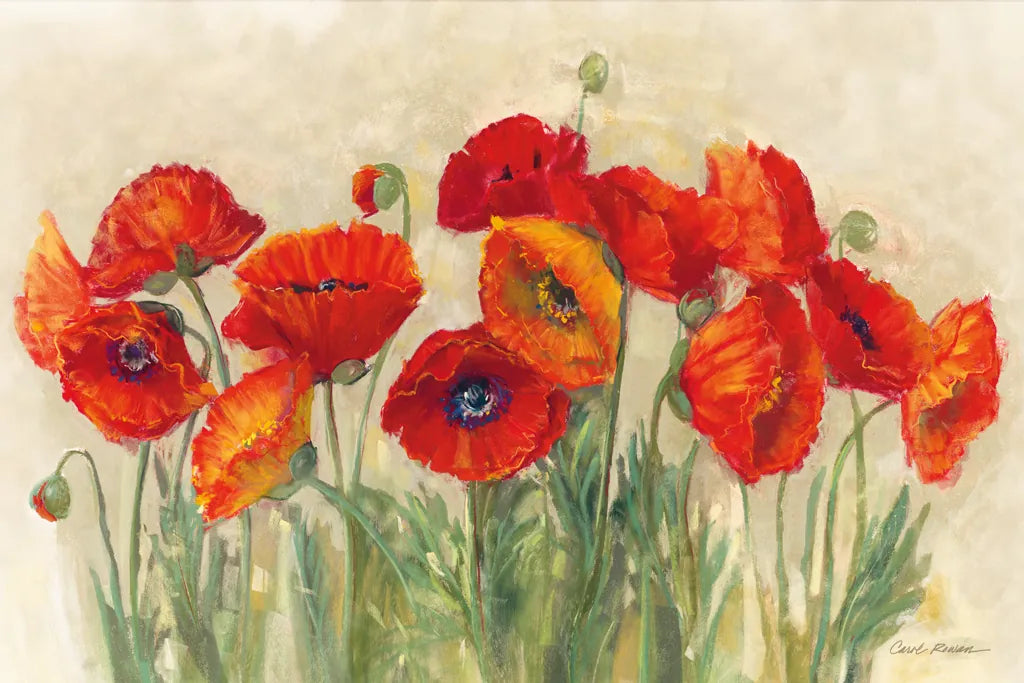 Vibrant Poppies by Carol Rowan. SKU 7999i. Archival Giclee Fine art print for wall decor.