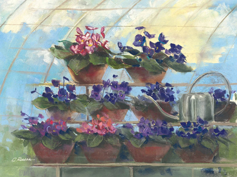 Violets by Carol Rowan