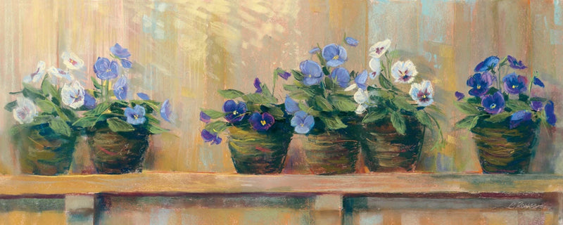 Violets in Pots by Carol Rowan