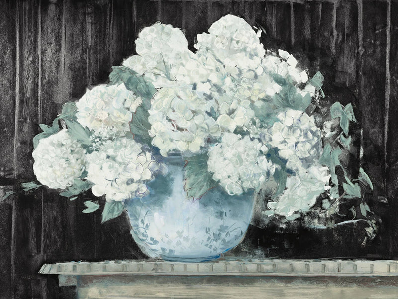 White Hydrangea on Black Crop by Carol Rowan