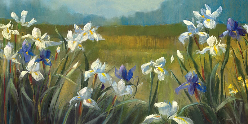 Wild Iris Crop by Carol Rowan