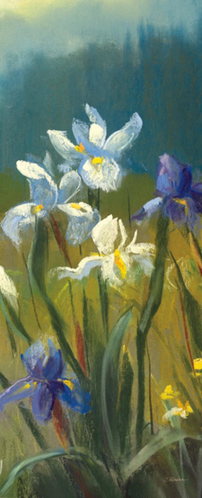 Wild Iris III by Carol Rowan