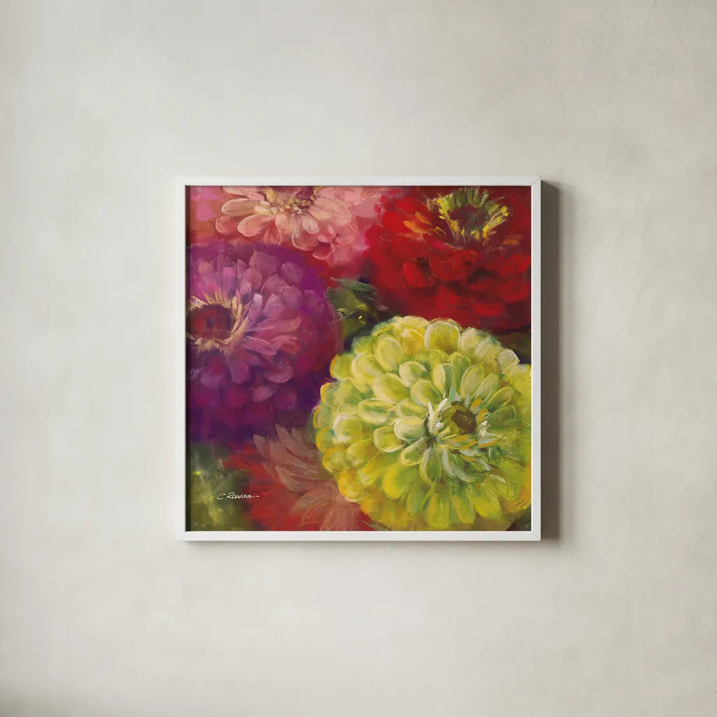 Zinnia Gala I by Carol Rowan. Shown in a crisp white glass frame for a clean and minimalist style. Available as an archival giclee rolled canvas, fine art paper, or poster print. SKU 8648a.