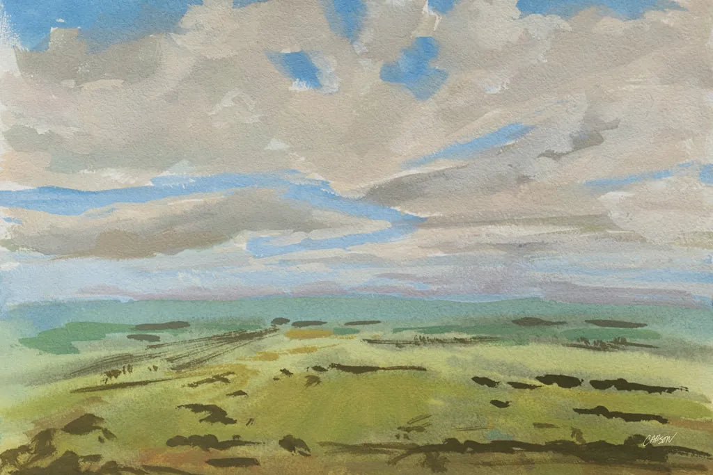 Aerial View by Carson Overstreet. SKU 97453i. Archival Giclee Fine art print for wall decor.