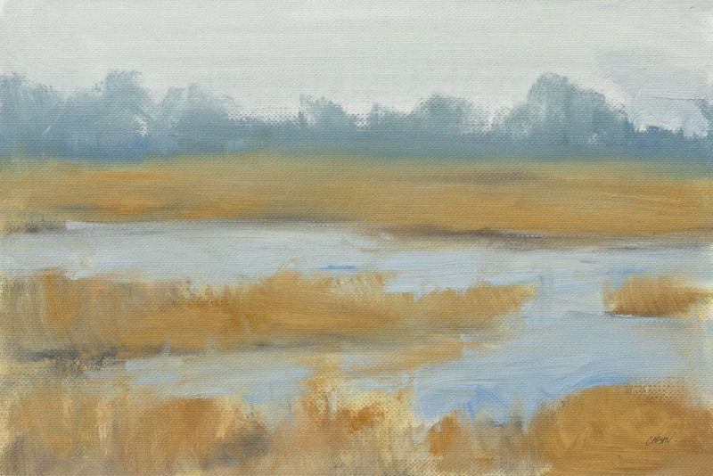 Afternoon Marsh by Carson Overstreet