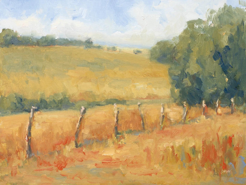 Autumn Field by Carson Overstreet