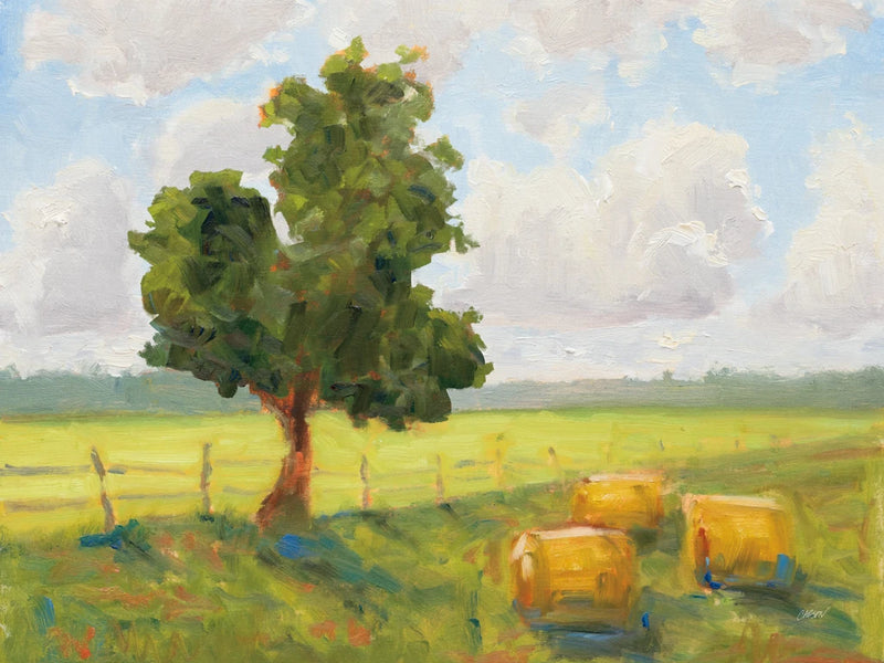 Blue Ridge Hay Bales no Mountains by Carson Overstreet