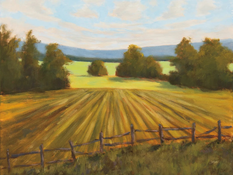 Country Fields by Carson Overstreet