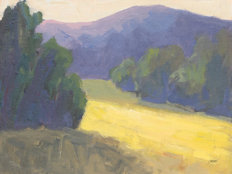 Mountain Shadows by Carson Overstreet