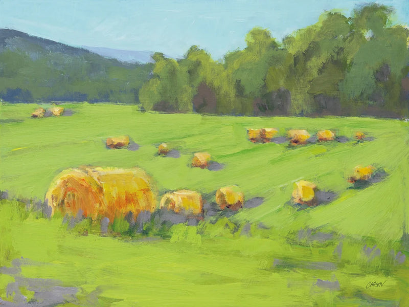 Summer Hay Fields by Carson Overstreet