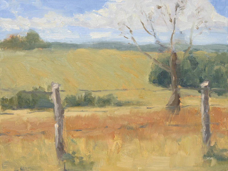 Sunny Pasture by Carson Overstreet