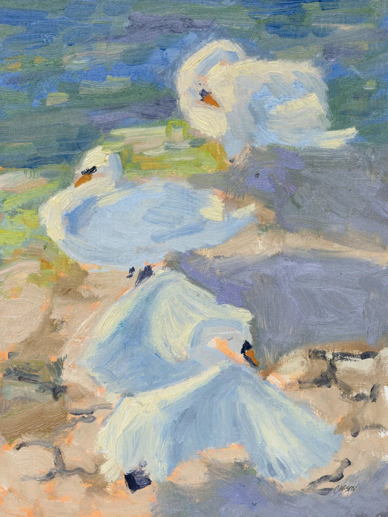 Swans Sunning by Carson Overstreet