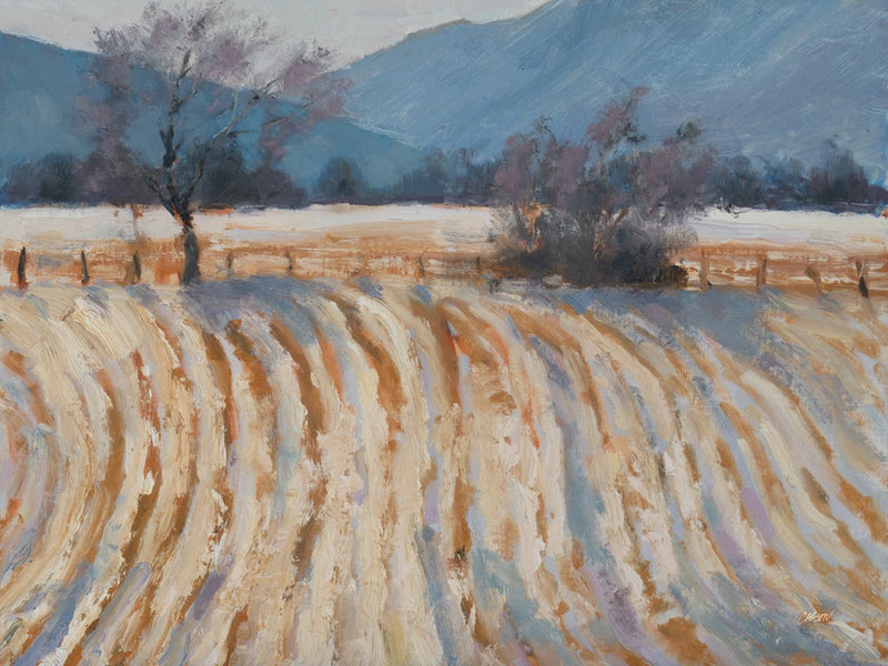 Valley Snowfall by Carson Overstreet