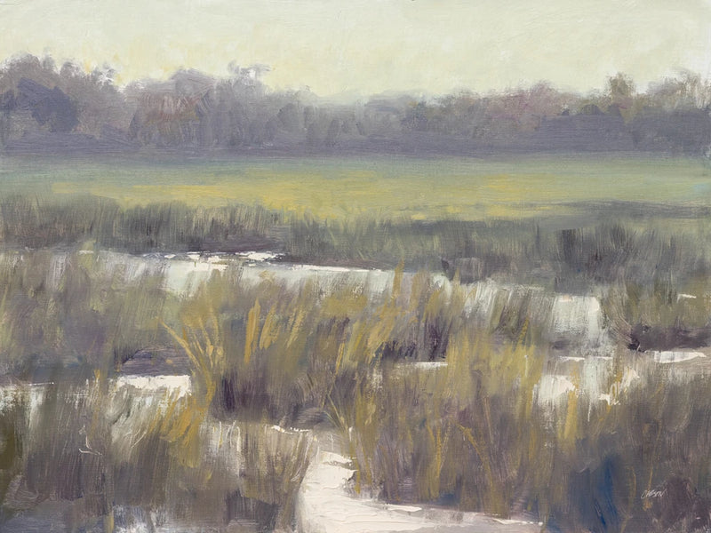 Wild Wetland by Carson Overstreet