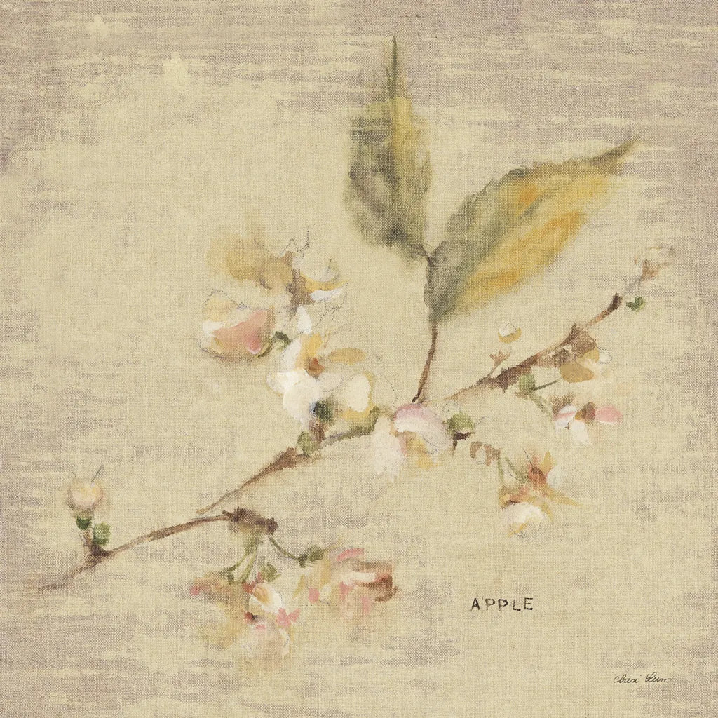 Apple Blossom by Cheri Blum. SKU 7021a. Archival Giclee Fine art print for wall decor.