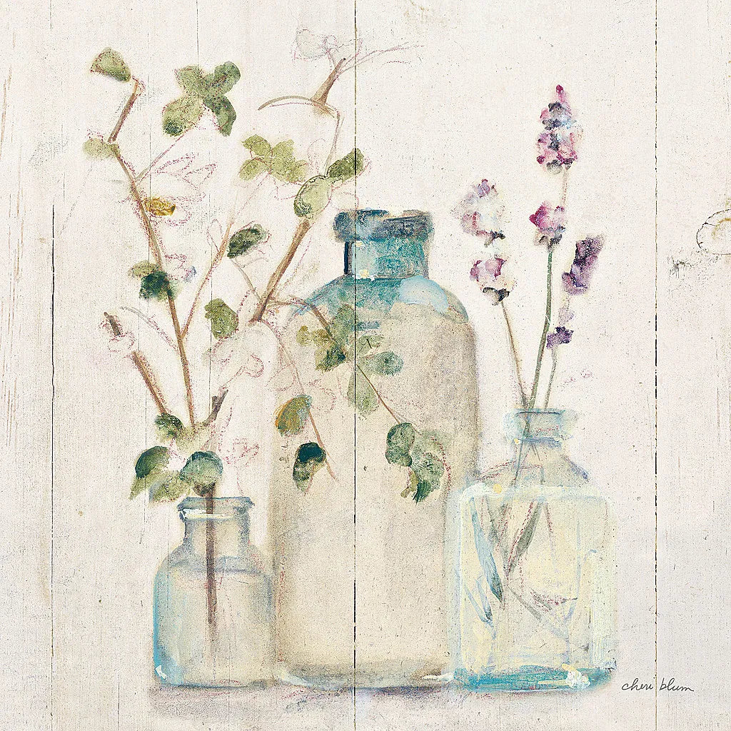 Blossoms on Birch V by Cheri Blum. SKU 22377a. Archival Giclee Fine art print for wall decor.