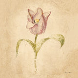 Blue Parrot Tulip by Cheri Blum. SKU 7351a. Archival Giclee Fine art print for wall decor.