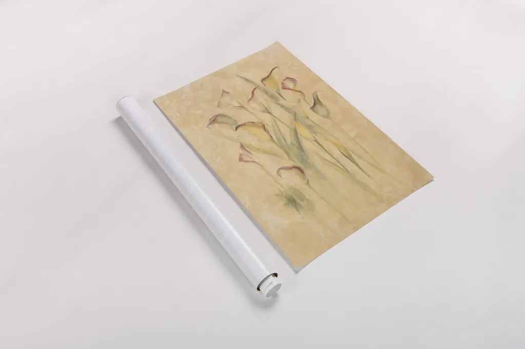 Blushing Calla Lilies by Cheri Blum. shown as a rolled paper print. Available as archival giclee rolled canvas, fine art paper, or poster print. SKU 7043h.