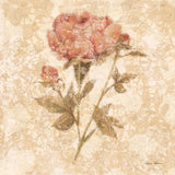 Bohemian Roses IV by Cheri Blum. SKU 7499a. Archival Giclee Fine art print for wall decor.