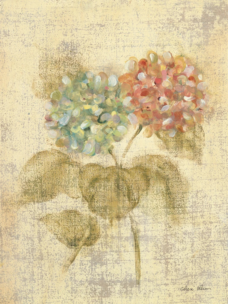 Bouquet of Pink Hydrangea by Cheri Blum