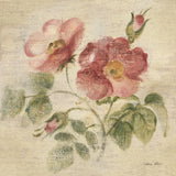 Burgundy Rose on Antique Linen Light by Cheri Blum. SKU 90527a. Archival Giclee Fine art print for wall decor.