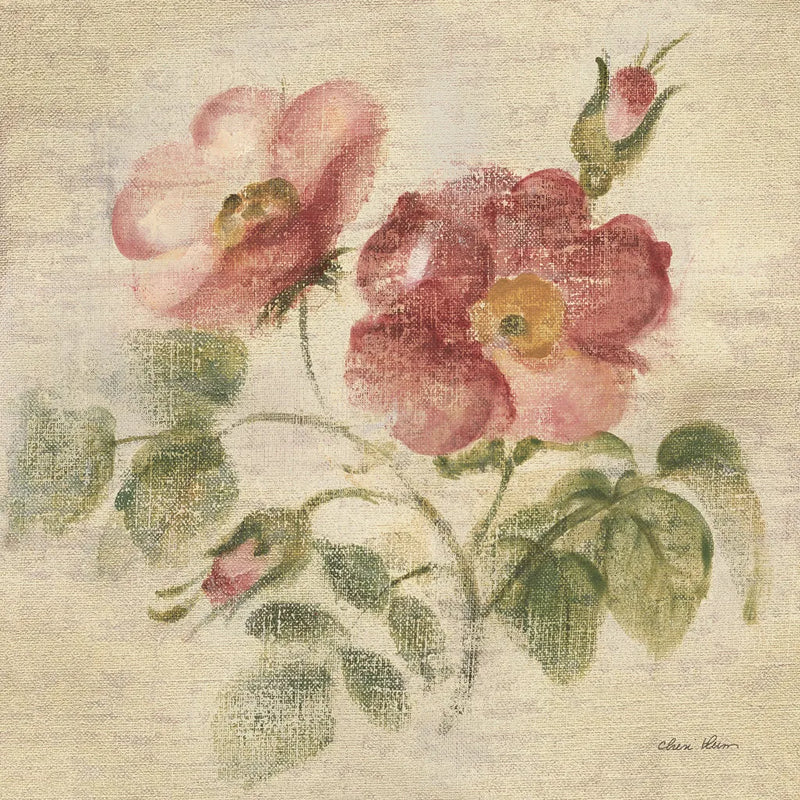 Burgundy Rose on Antique Linen Light by Cheri Blum. SKU 90527a. Archival Giclee Fine art print for wall decor.