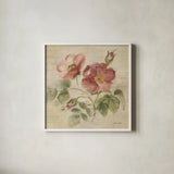 Burgundy Rose on Antique Linen Light by Cheri Blum. Shown in a crisp white glass frame for a clean and minimalist style. Available as an archival giclee rolled canvas, fine art paper, or poster print. SKU 90527a.