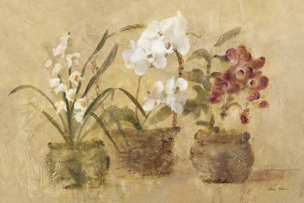 Collection of Orchids by Cheri Blum. SKU 7226i. Archival Giclee Fine art print for wall decor.