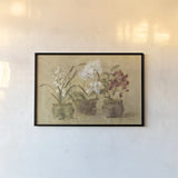 Collection of Orchids by Cheri Blum. shown as a paper print in a black flame. Available as a archival giclee rolled canvas, fine art paper, or poster print. SKU 7226i.