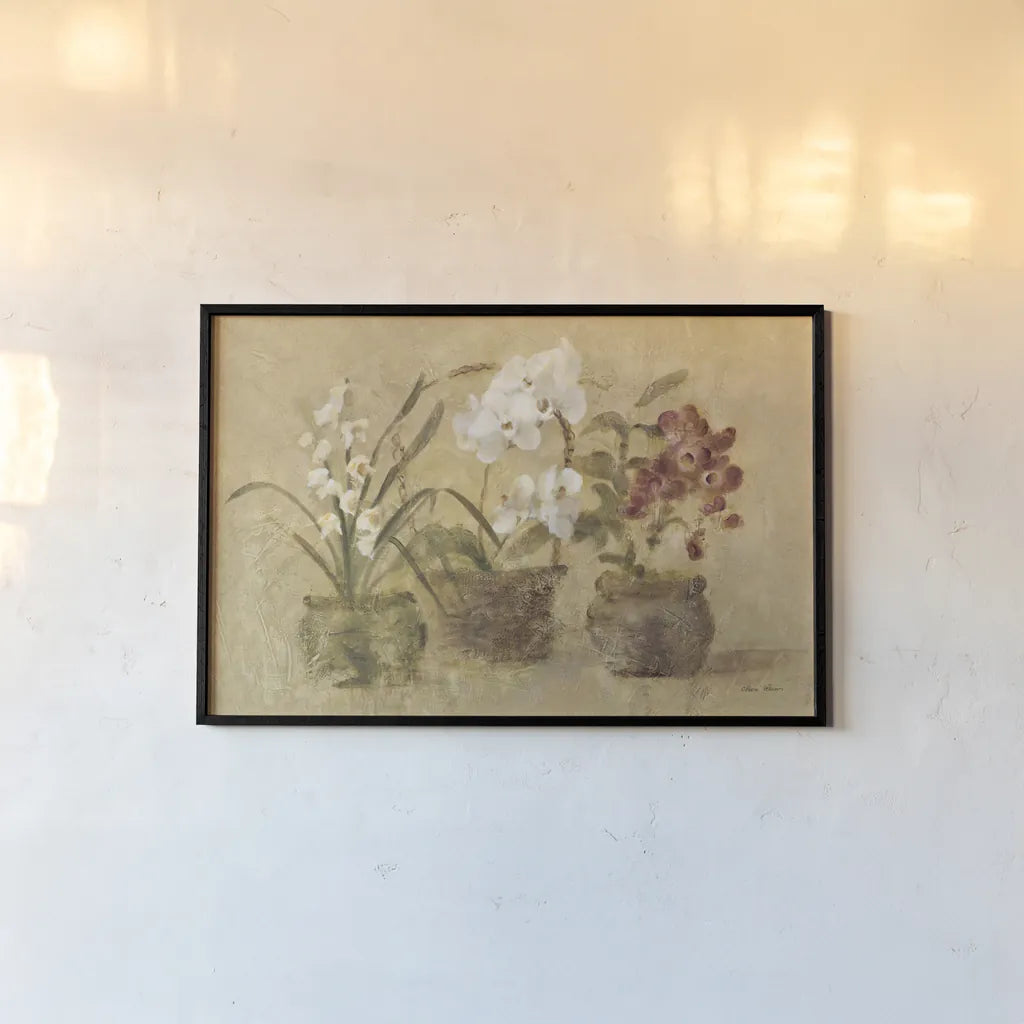 Collection of Orchids by Cheri Blum. shown as a paper print in a black flame. Available as a archival giclee rolled canvas, fine art paper, or poster print. SKU 7226i.