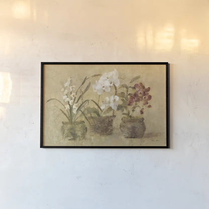 Collection of Orchids by Cheri Blum. shown as a paper print in a black flame. Available as a archival giclee rolled canvas, fine art paper, or poster print. SKU 7226i.