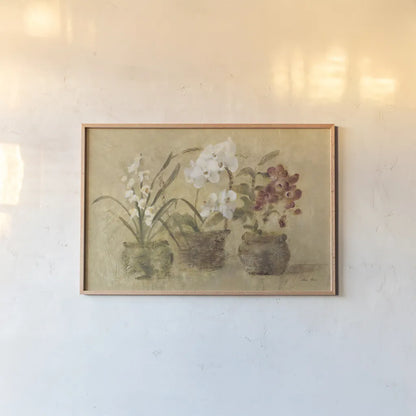 Collection of Orchids by Cheri Blum. shown as a paper print in a natural frame. Available as a archival giclee rolled canvas, fine art paper, or poster print. SKU 7226i.