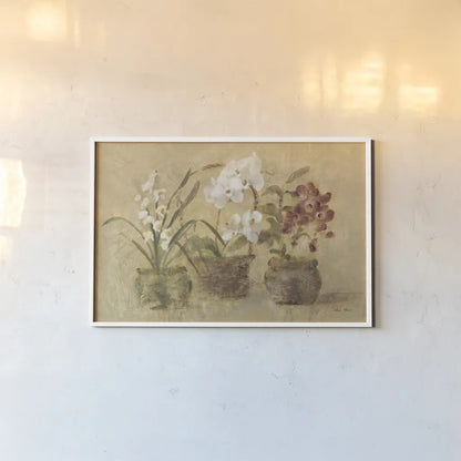 Collection of Orchids by Cheri Blum. shown as a paper print in a white frame. Available as a archival giclee rolled canvas, fine art paper, or poster print. SKU 7226i.