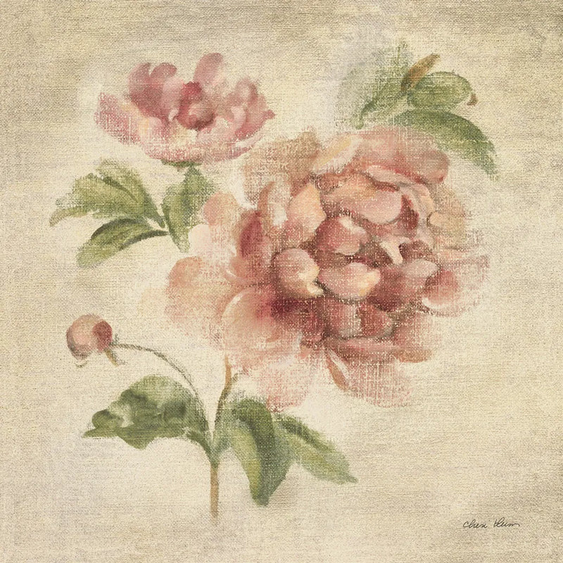 Coral Rose on Antique Linen Light by Cheri Blum. SKU 90525a. Archival Giclee Fine art print for wall decor.